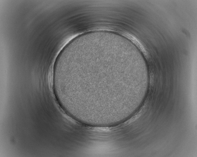 X0000116430844201001051144
