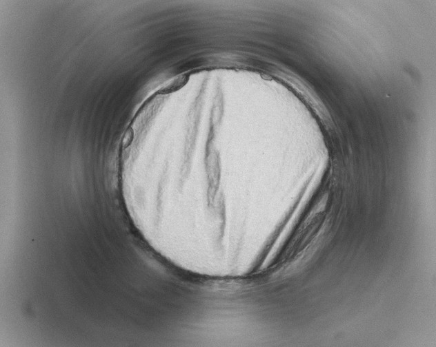 X0000116430858201001051144
