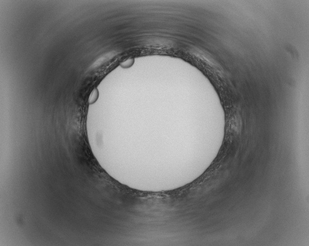 X0000116430869201001051143