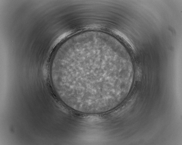 X0000116430874201001051143