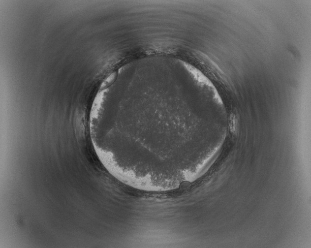 X0000116430915201001051142