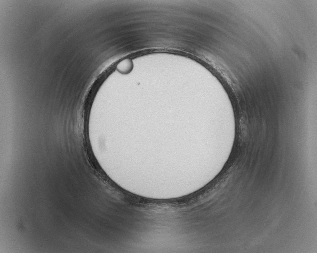 X0000116430931201001051142