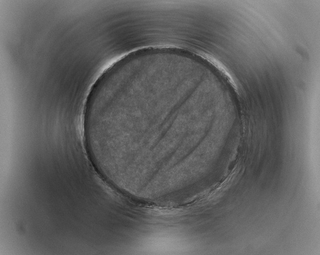X0000116430935201001051142