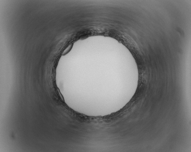 X0000116430961201001051142