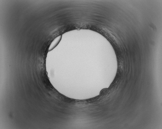 X0000116430964201001051142
