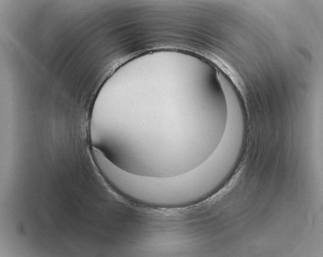 X0000116430993201001051142
