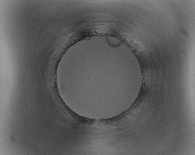 X0000116431009201001051141
