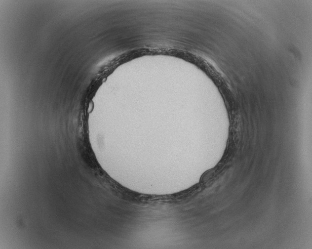 X0000116431016201001051141