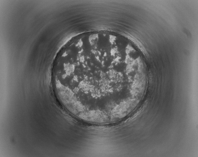 X0000116431023201001051141