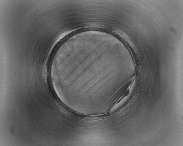 X0000116431024201001051141