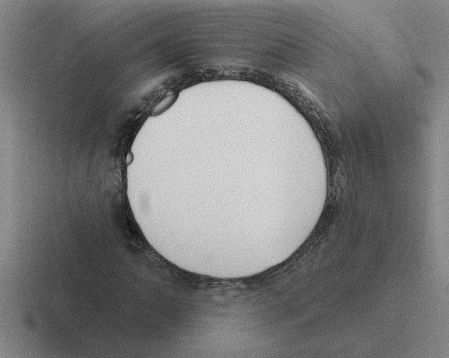 X0000116431062201001051141