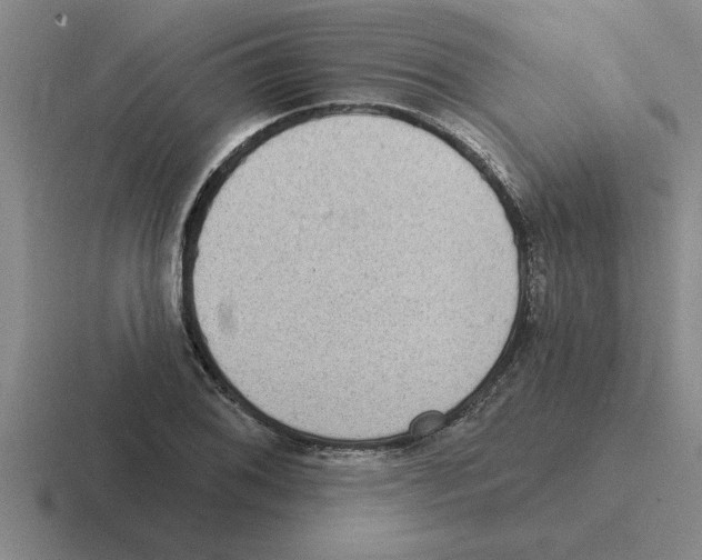 X0000116431076201001051141