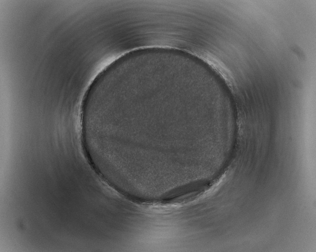 X0000116431077201001051141