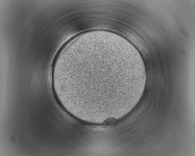 X0000116431084201001051141