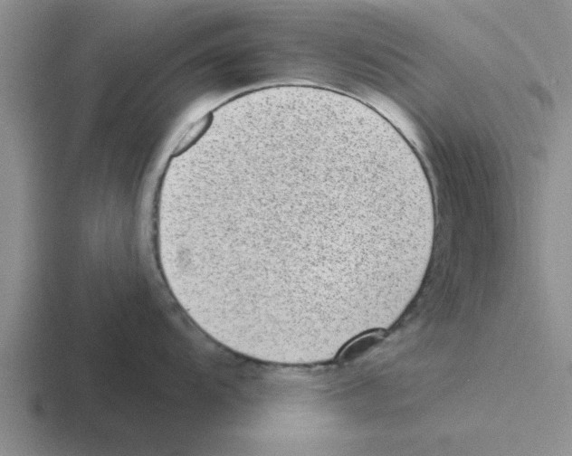 X0000116431104201001051140