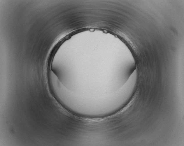X0000116431122201001051140