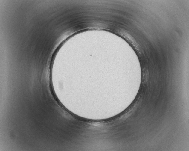 X0000116431130201001051140