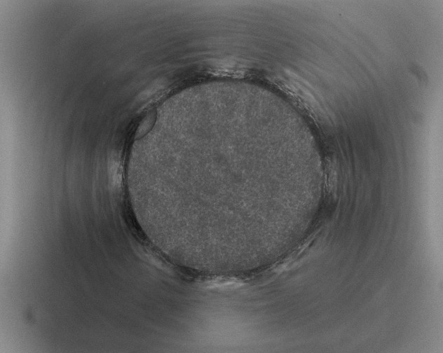 X0000116431154201001051140