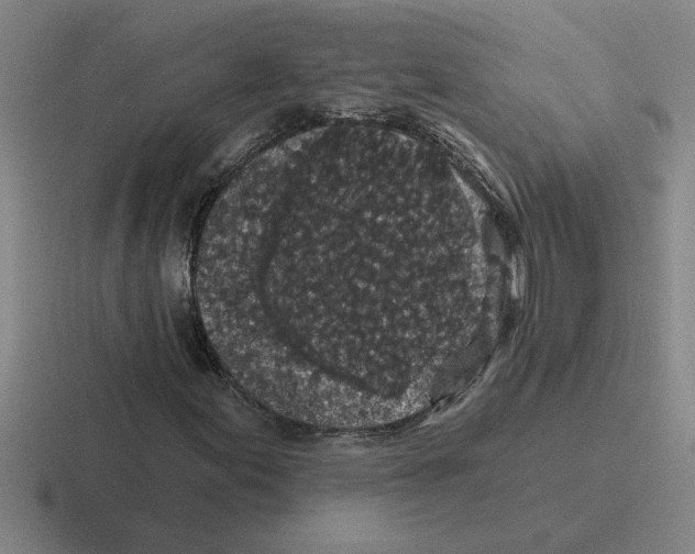 X0000116431155201001051140