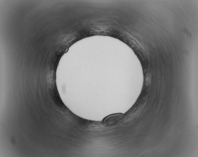 X0000116431156201001051140