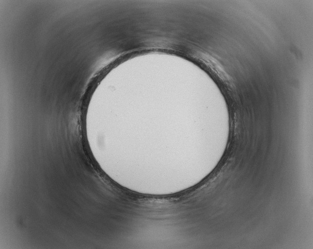 X0000116431164201001051140