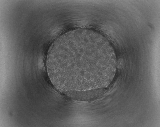 X0000116431202201001051139