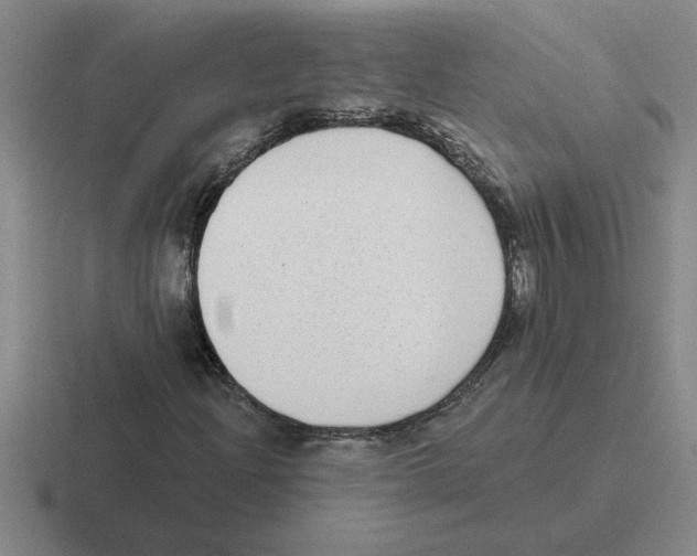 X0000116431204201001051139