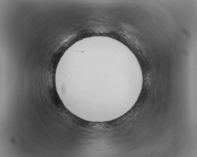 X0000116431205201001051139