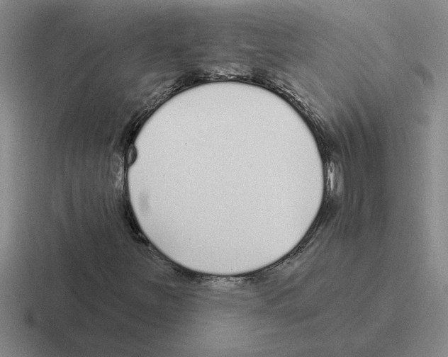 X0000116431251201001051138