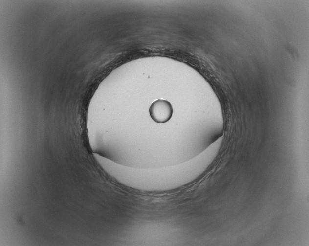 X0000116431253201001051138