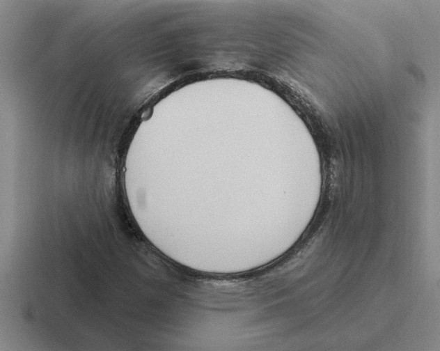 X0000116431257201001051138