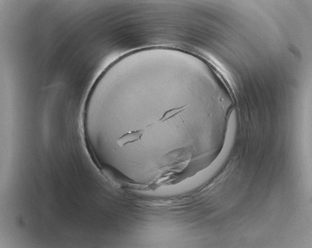 X0000116431291201001051138