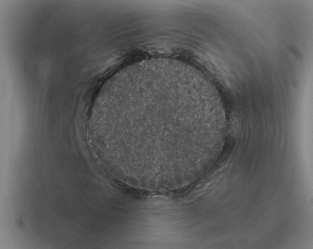 X0000116431297201001051137