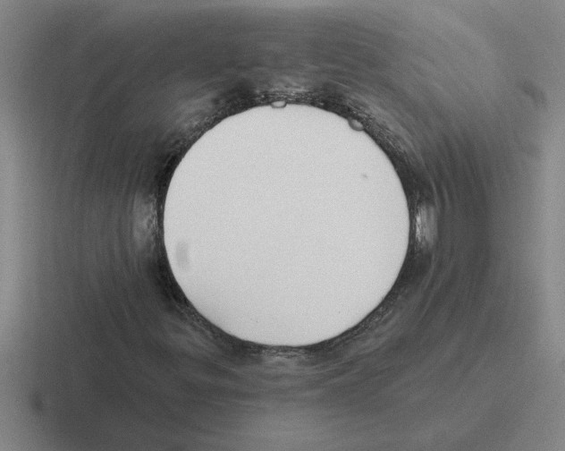 X0000116431299201001051137