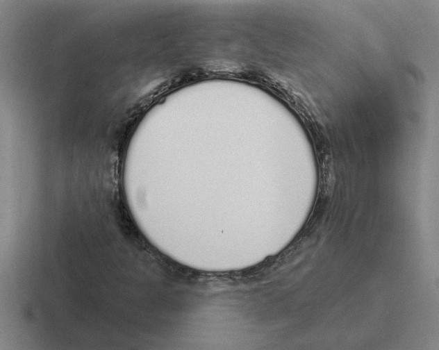X0000116431301201001051137