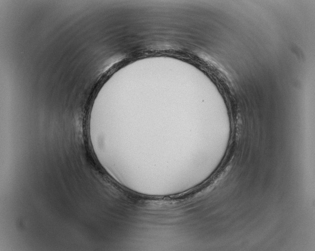 X0000116431305201001051137