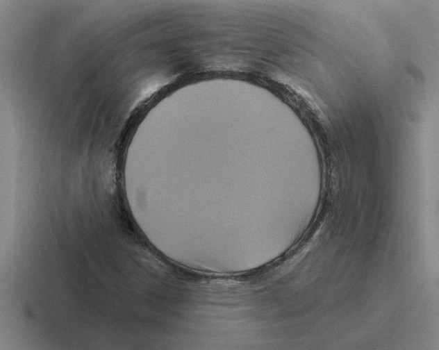 X0000116431306201001051137