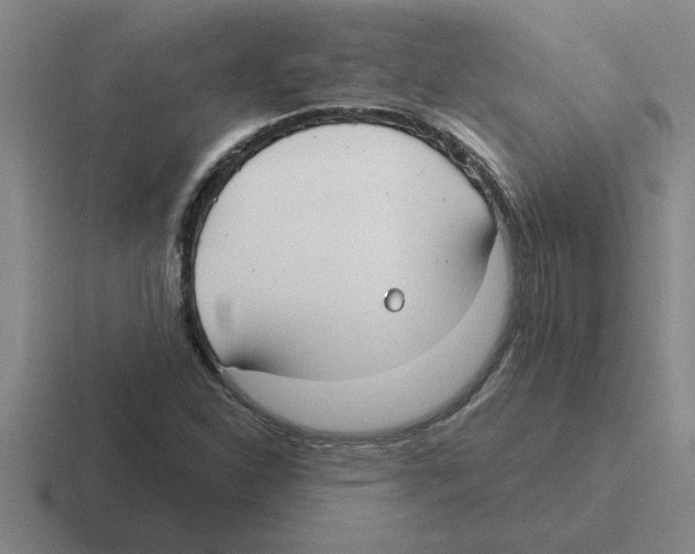 X0000116431310201001051137