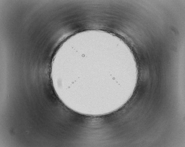 X0000116431314201001051138