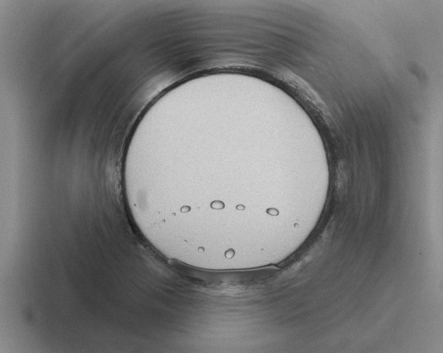 X0000116431321201001051138