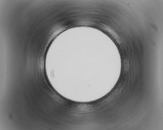 X0000116431322201001051138