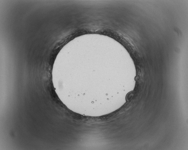 X0000116431349201001051137