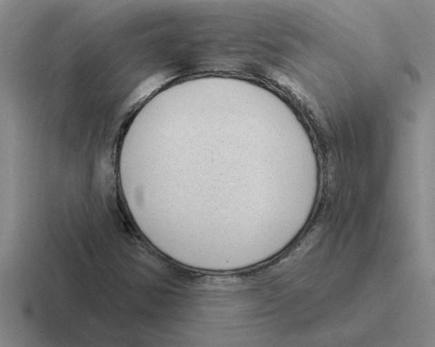 X0000116431354201001051137