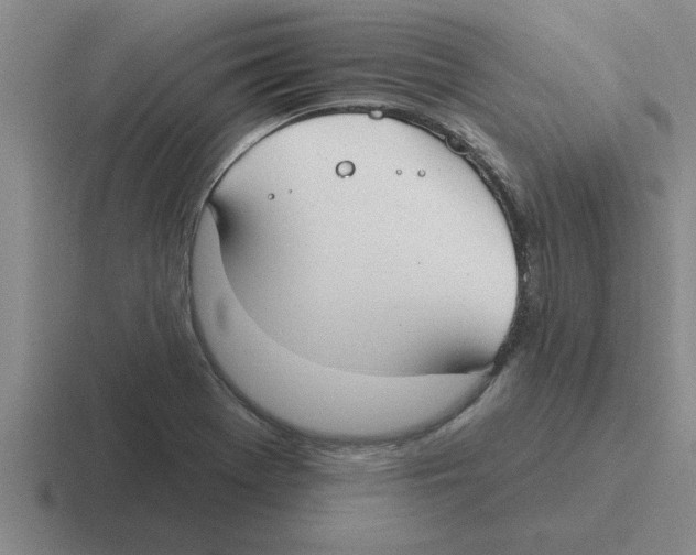 X0000116431369201001051137
