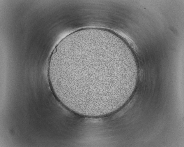 X0000116431374201001051137