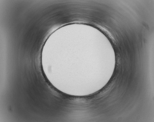 X0000116431375201001051137