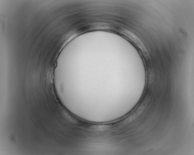 X0000116431377201001051137