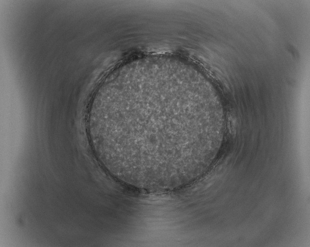 X0000116431393201001051136