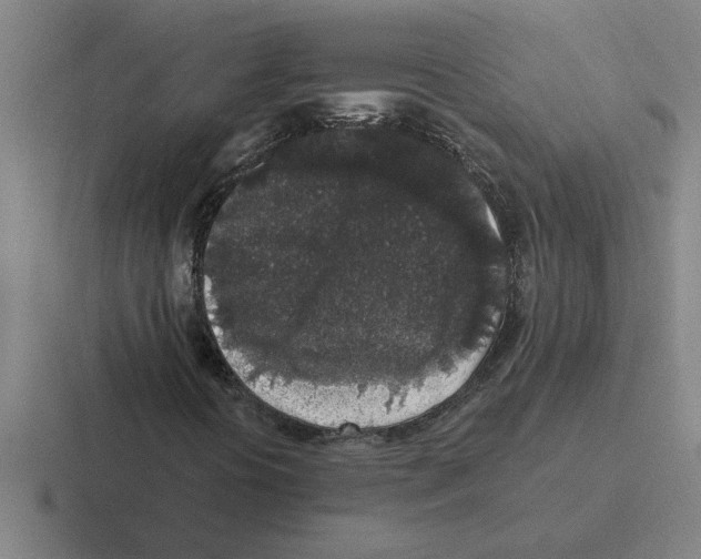 X0000116431394201001051136