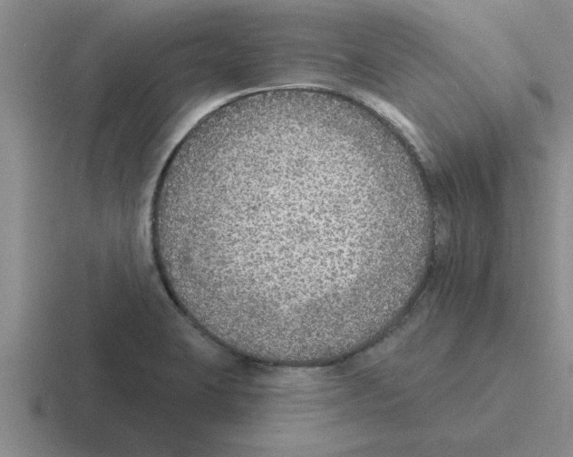 X0000116431423201001051136